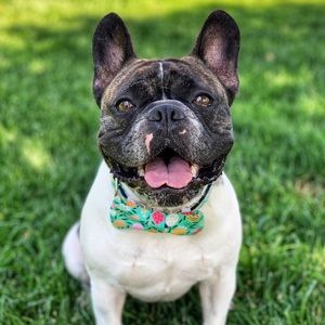 Meet your Posher, Jon